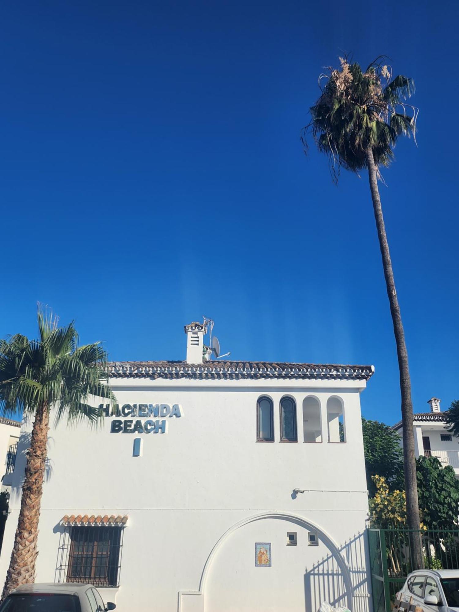 Apartamento Sunflower House Estepona